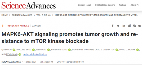 「Science子刊」貝勒醫學院楊峰博士及團隊發現MAPK6基因能促進癌症生長，靶向MAPK6為癌症提供有效的治療策略