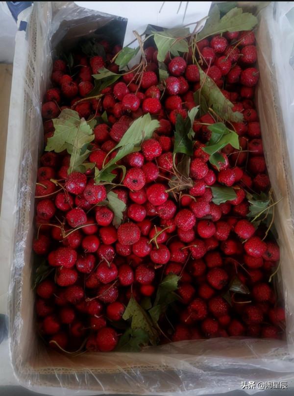 公交徒步遊北京：門頭溝雙峪農副產品批發市場