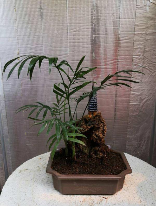 養護別稀裡糊塗，弄清楚這4點基礎知識，很重要