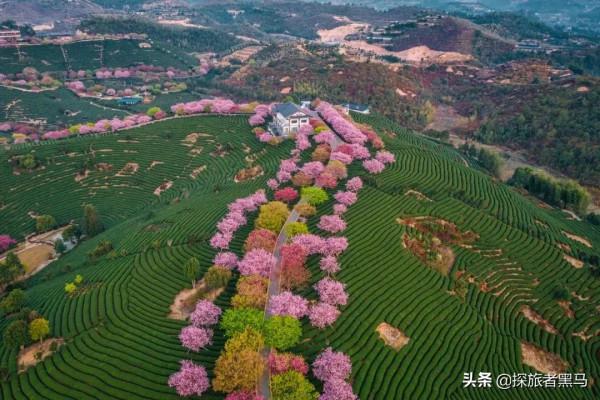 2月國內旅行地推薦，全年最美的時刻來臨，錯過再等一年