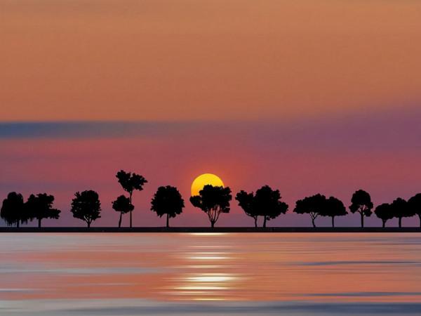 真能成大事的人，都藏著這“四顆心”