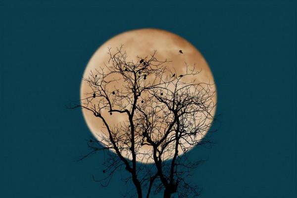 中國古代最好的10首中秋詩詞：蘇軾的《水調歌頭》位居第一