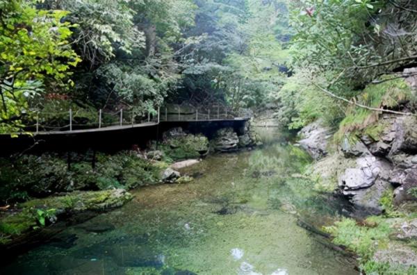 雲想衣裳花想容，春風拂面露華濃