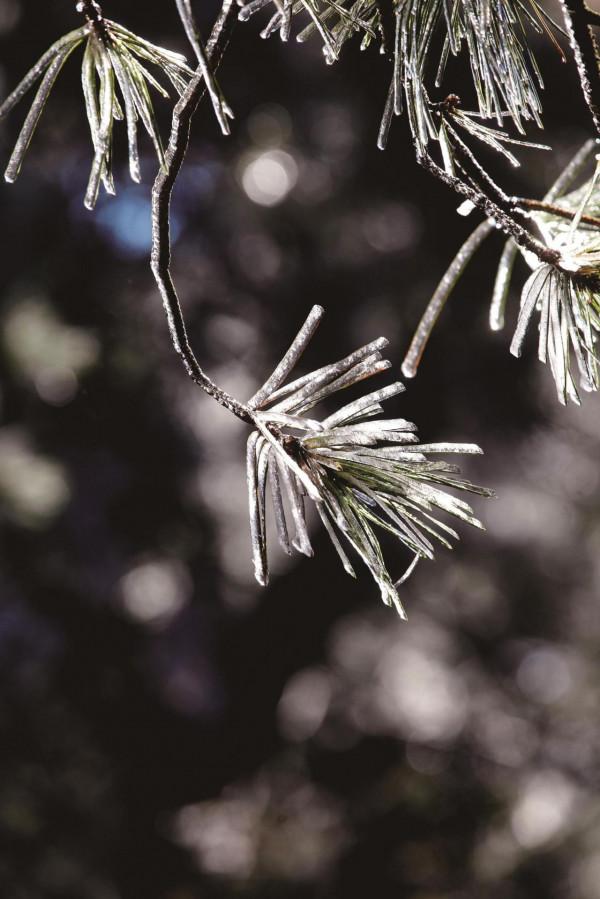 龜峰山現霧凇奇觀 龜峰山現霧凇奇觀