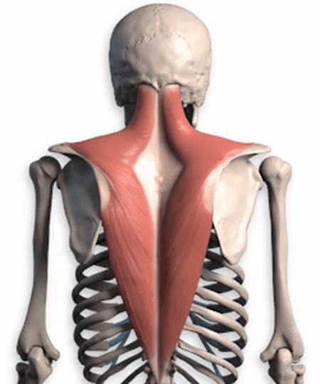 內家拳心法闡微