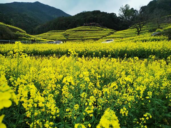 中國這10個景色絕美的景觀，你去過5個就算旅遊達人啦