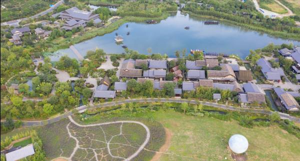 80後荊州大姐返鄉種葡萄,一百畝發展成3000畝,如今年入千萬 80後荊州大姐返鄉種葡萄,一百畝發展成3000畝,如今年入千萬