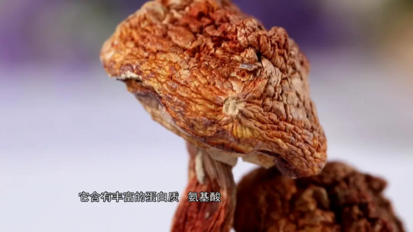 中醫靚湯秘方 | 冬季養生先養腎！淮山枸杞很滋陰，補腎抗寒安過冬