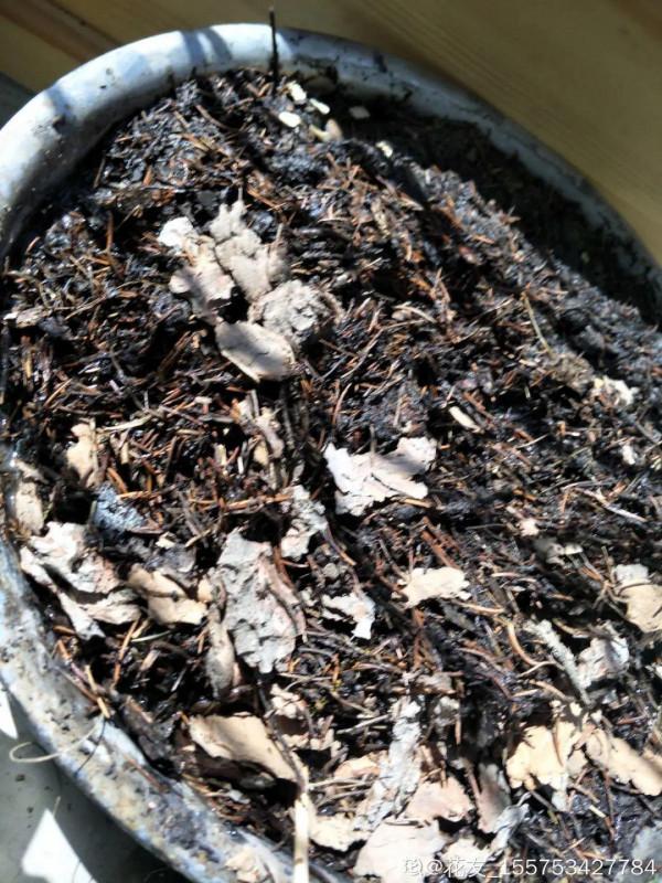 10種“垃圾”不要丟,拿來養花效果好,還能省下一筆錢 10種“垃圾”不要丟,拿來養花效果好,還能省下一筆錢