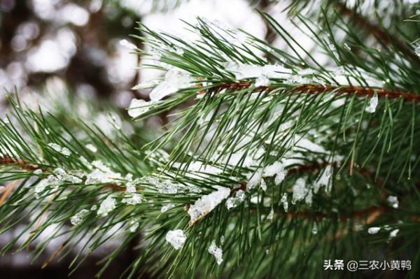 天氣預報：2021年冬季冷嗎？就看八月十五天氣，看看老祖宗怎麼說