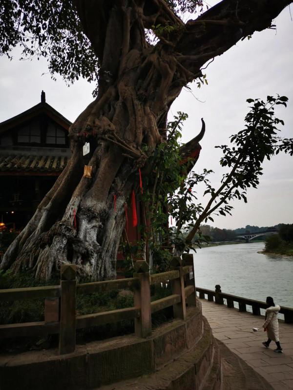 初冬的黃龍溪，別樣的美