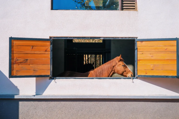 這家酒店的紅葉季，讓我想起了虹夕諾雅京都