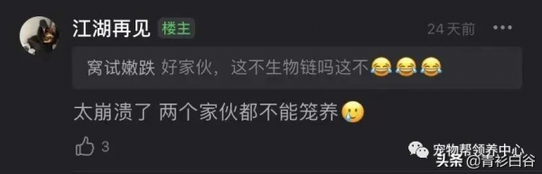 我家狗愛吃貓屎,貓知道後竟然特意到狗飯碗旁邊上廁所 我家狗愛吃貓屎,貓知道後竟然特意到狗飯碗旁邊上廁所