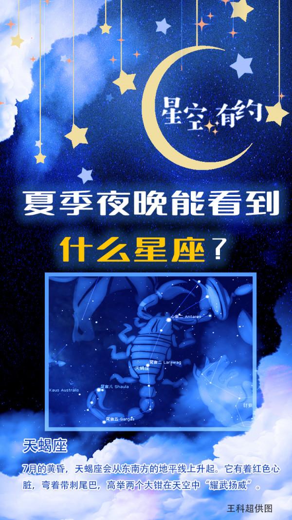 星空有約｜解鎖夏季星座密碼
