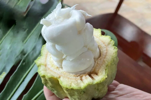 高鐵0.5h、物價只有一半，我願稱她為三亞最強備胎