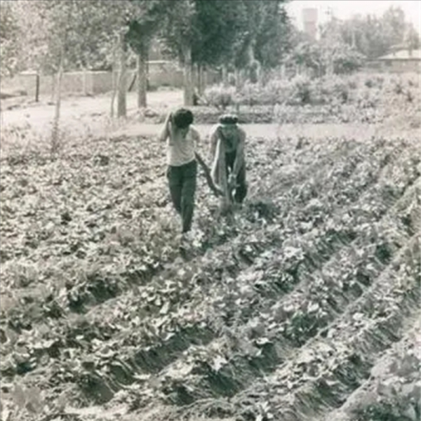 鄧小平與繼母夏伯根：相差僅5歲，相守半世紀，母子情深感動世人