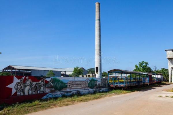 我與大學同學偉哥不同的人生經歷和故事，同學不同命，同行不同運