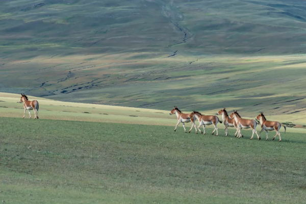 在阿里的四季裡，感受美好的一年