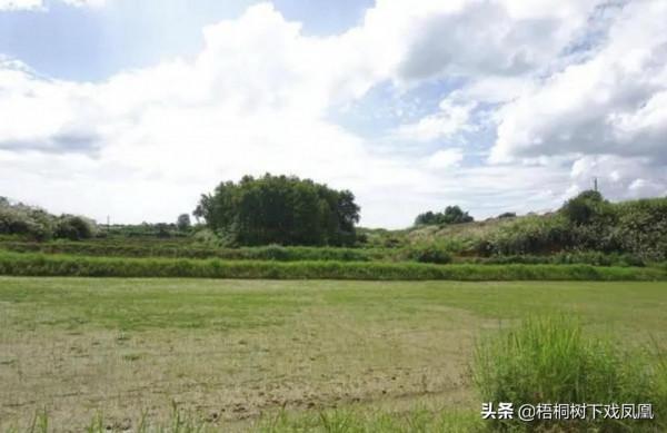 租民房稱是養龍蝦,一個月後發現房下有10米深洞,通向院外的古墓 租民房稱是養龍蝦,一個月後發現房下有10米深洞,通向院外的古墓