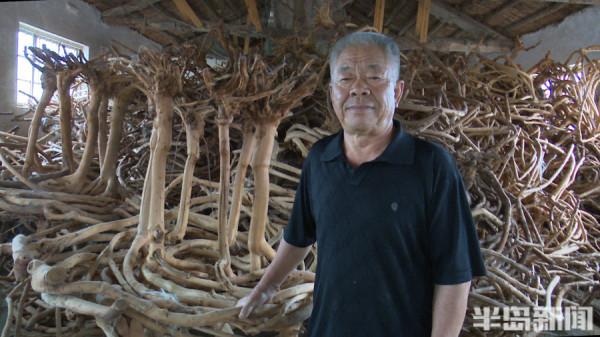 百味人生|桃園結“椅”!15年,他在地裡種出700把椅子!萊西果農這項絕活還拿下了國家專利 百味人生|桃園結“椅”!15年,他在地裡種出700把椅子!萊西果農這項絕活還拿下了國家專利