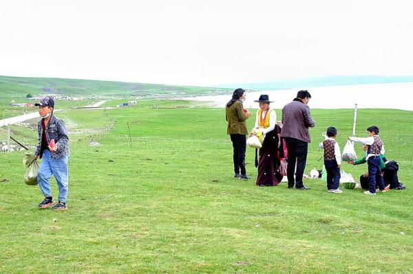 標緻4008環青海長測Day9：鳥島叫“蚊子島”，沿青海沿線達剛察！