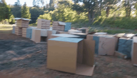 4天打造真人版《我的世界》小鎮,能親手打怪升級敲方塊的那種 4天打造真人版《我的世界》小鎮,能親手打怪升級敲方塊的那種