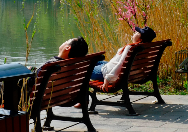 世衛組織曝光：這種蔬菜或導致骨密度下降，中老年人要少吃