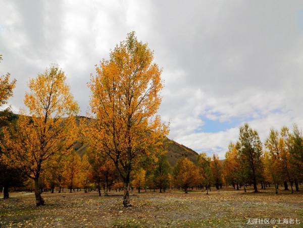 別人的生活:退休了 開始自駕遊 別人的生活:退休了 開始自駕遊