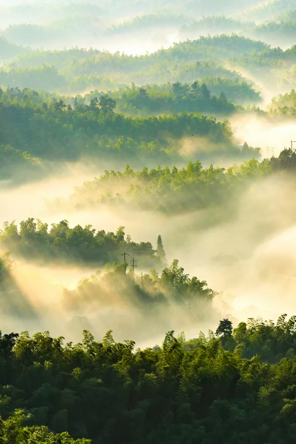 四川從哪裡來? 四川從哪裡來?