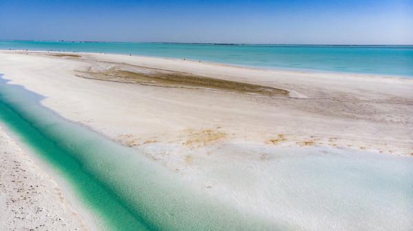 新能源板塊迎來曙光，低估值概念獲看好，機構預測這些股業績高增