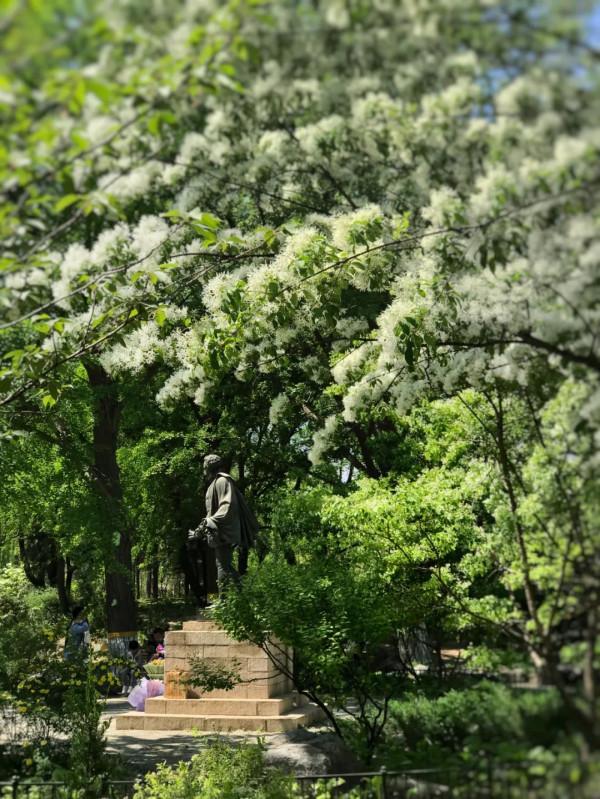 北大,永遠的熱愛! 北大,永遠的熱愛!