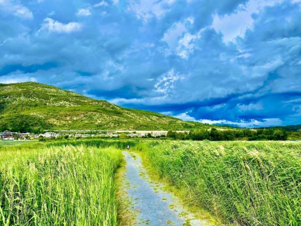 麗江的夏天有什麼? 麗江的夏天有什麼?