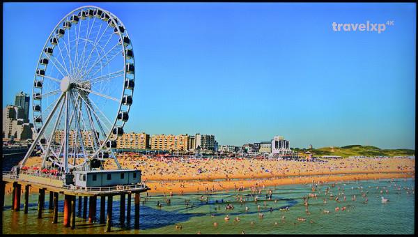 TCL 98英寸IMAX Enhanced巨幕智屏評測：把電影院搬回家