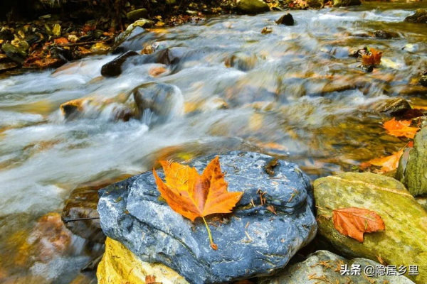 秦嶺紅葉房開售 | 一座座山間小屋，藏著秦嶺最美的秋