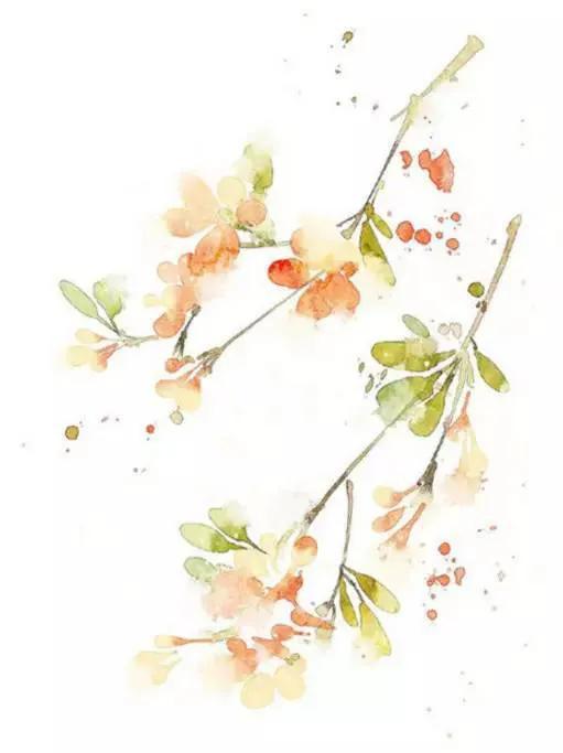 中藥的牙痛專用方——清胃散