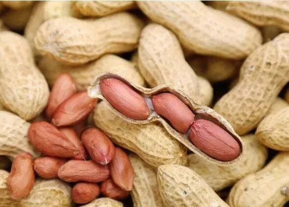 五顏六色的“糖豆”能吃麼？