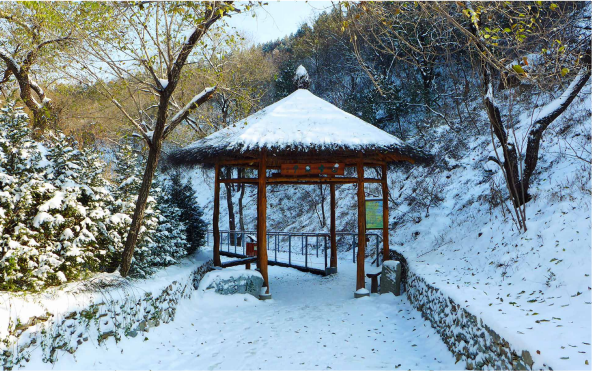 “文化碑林 綠色生態”——首都綠色文化碑林建設歷程回顧 “文化碑林 綠色生態”——首都綠色文化碑林建設歷程回顧