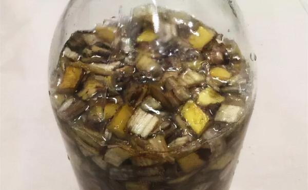 這些“垃圾”不要扔，用來養花效果好，既環保又省錢