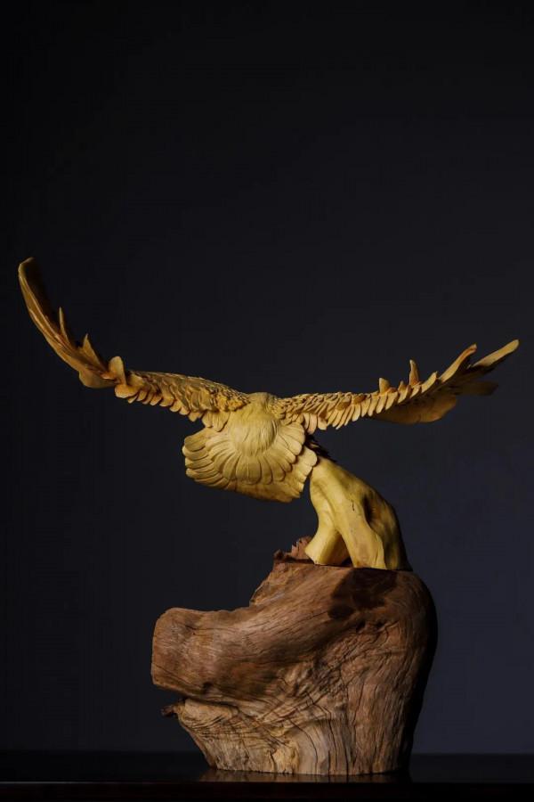 黃楊木 | 鵬程萬里