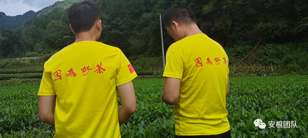 茶產業迴圈促進茶食品研發 茶產業迴圈促進茶食品研發