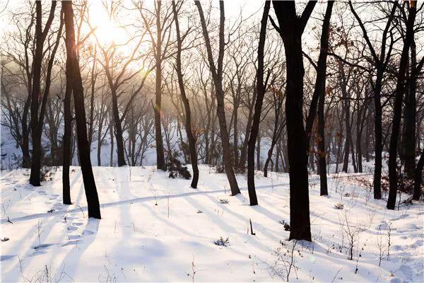 北方的冬天美景和美食 北方的冬天美景和美食