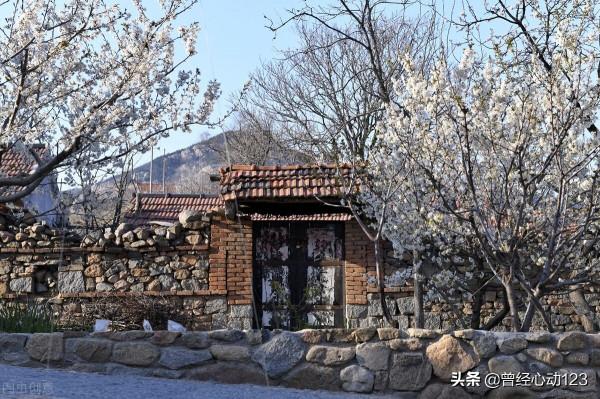 大清奇案錄：《寡婦離奇身亡案》