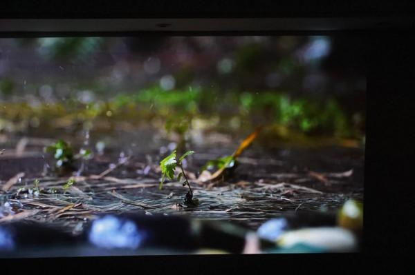 在家盡享影院體驗，大屏+高畫質+好音效—優派BK8超短焦鐳射電視