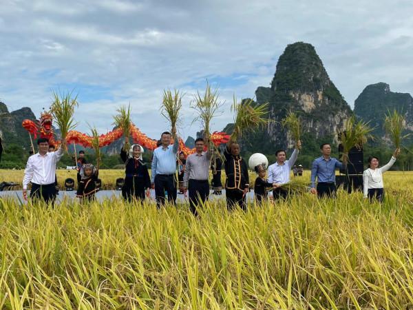 2021”中國大新·明仕旅遊度假區豐收節開幕 2021”中國大新·明仕旅遊度假區豐收節開幕