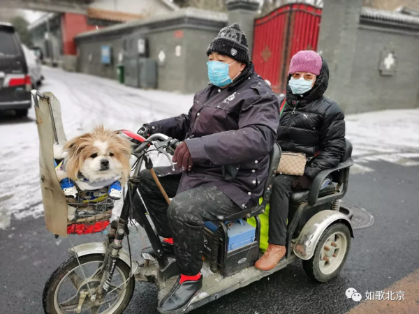 北京下雪了,去景山公園看看怎麼樣? 北京下雪了,去景山公園看看怎麼樣?