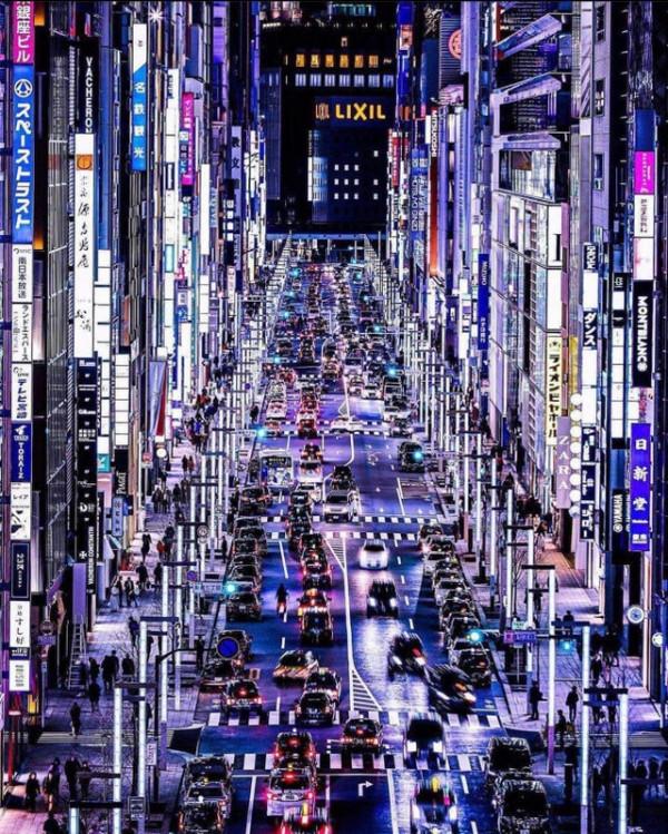 30張罕見的照片，袋鼠在雪地中瘋狂亂跑，老鼠們纏在一起變成鼠王