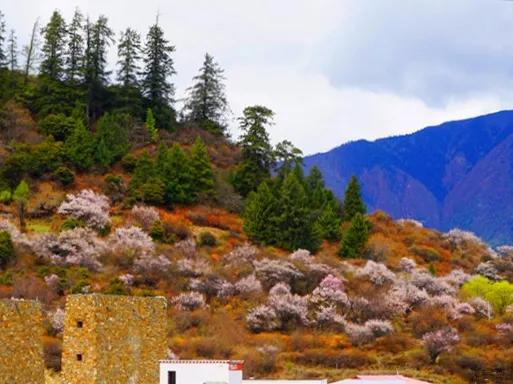 藏地掠影之夢幻秘境，醉美藏區