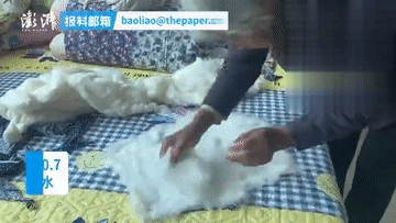 2021，河北因你而閃耀