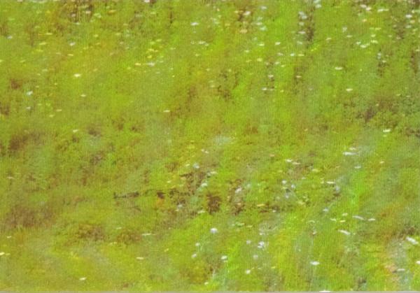 中國81式“大五葉”迷彩衣，顏值高偽裝強，曾是偵察兵的無形榮耀