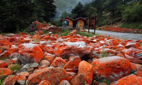 暢享18℃!川西藍色海洋,逃離城市熱浪 暢享18℃!川西藍色海洋,逃離城市熱浪